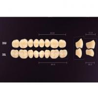 Idealis posta inf 33L A4 Img: 201807031 Idealis posta inf 33L A4 Img: 201807031