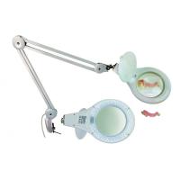 LED ingrandimento MESTRA lampada Img: 201807031