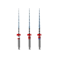 Race Evo: Assortimento di lime NiTi 6% sterili da 21 mm (3 pz.) - 21 RE1+RE2+RE3 Img: 202304081