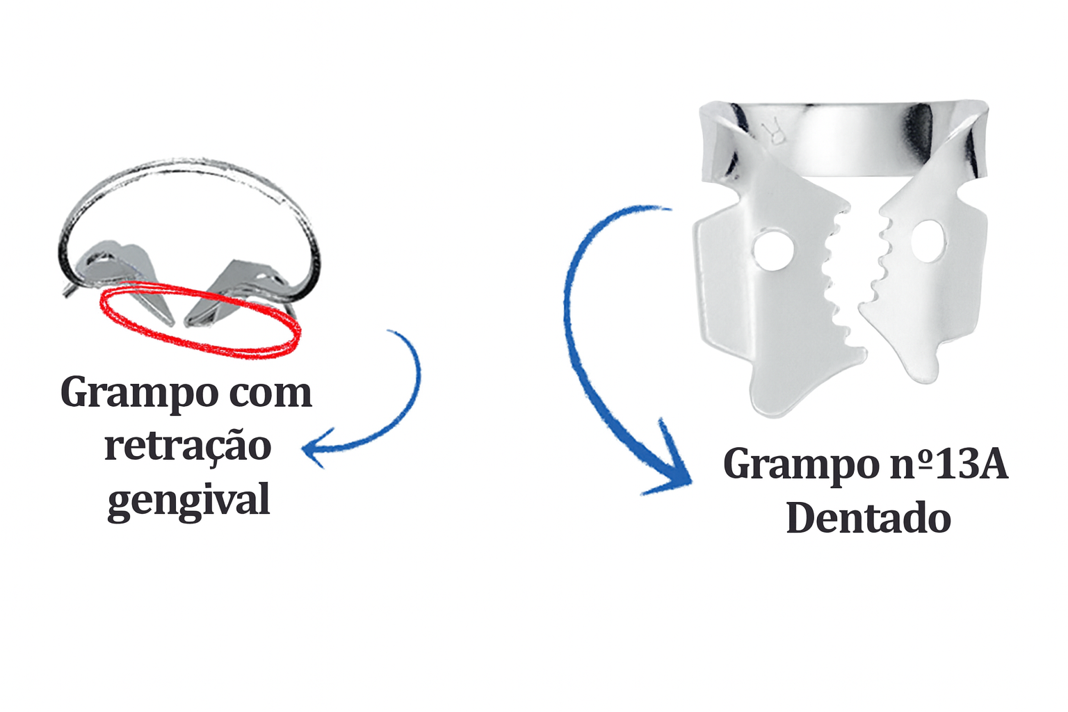 Clamps dentales
