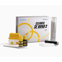 Adhesive clearfil SE Bond 2. Auto-gravação
