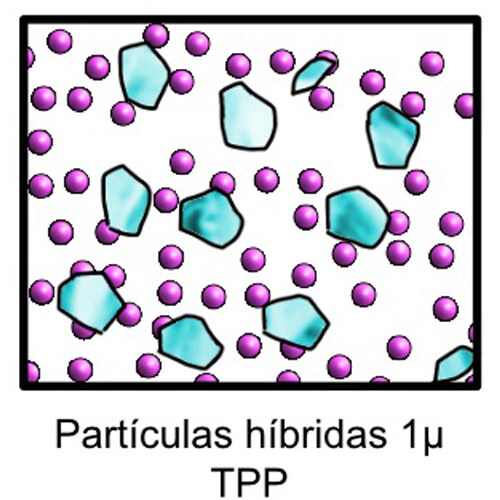 Híbrido