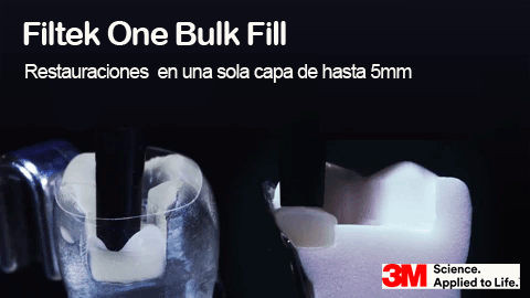 Filtek One