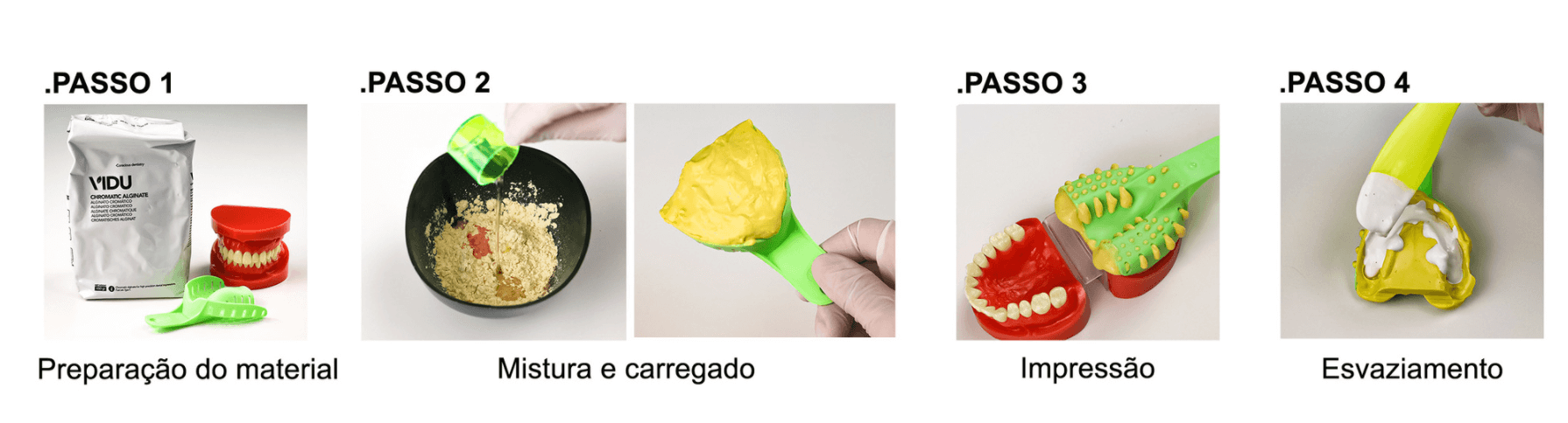 Fases do alginato dentário