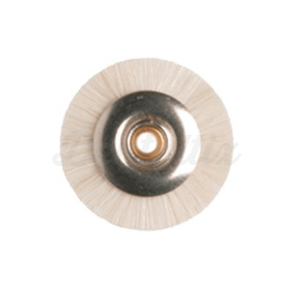 100 16 REDE: Escova de polimento circular Img: 202204301