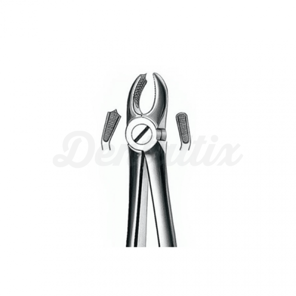 318 FORCEPS RAÍZES M/ANAT.***** Img: 202205071