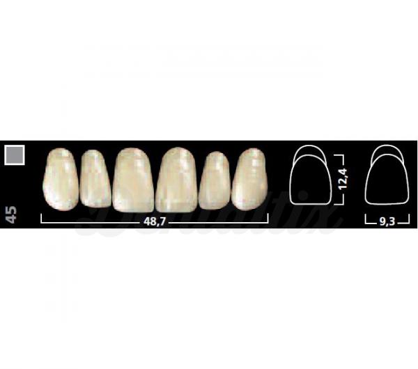 IVOSTAR A-D ant sup 44 A2 Img: 201807031
