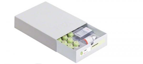 Vita Vm® 9 3D-Master. Revestimento Estruturas em Zircónio (12Gr.) - Base Dentine 2M2 (12gr) Img: 202007181