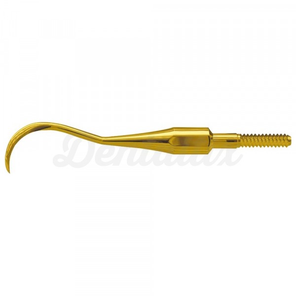 Quik-Tip: Pontas de Scalers XP Technology - Dica: Dicas para escaladores de tecnologia XP - H6 Img: 202503081