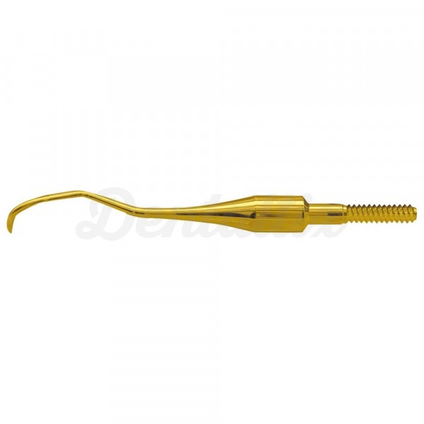 Quik-Tip: Pontas de Scalers XP Technology - 204 IASD Img: 202503081