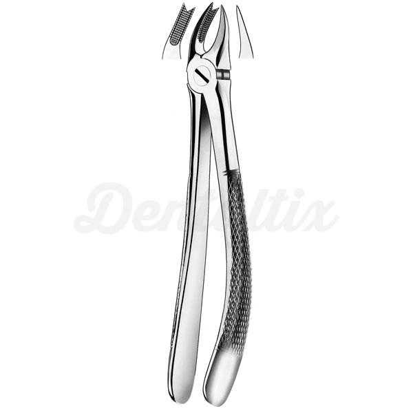 89 FORCEPS MOLAR SUPERIOR DCHA Img: 201807031