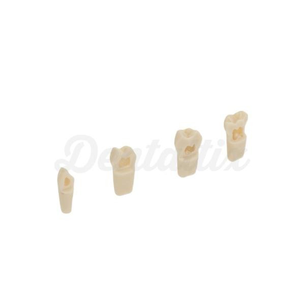 Modelos de Dentes para Modelos de Próteses Infantis - AK-6/2 ZPUL Nº 85 Img: 202209101