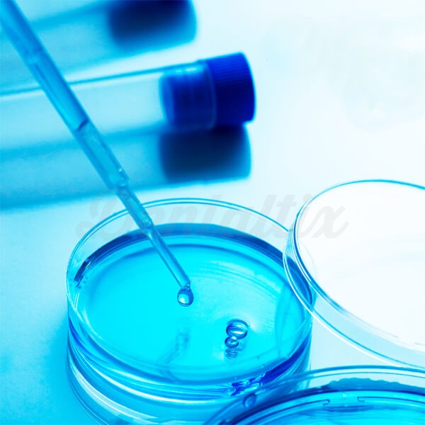Kit de Teste de Legionella na Água para Equipas Dentárias Img: 202411301