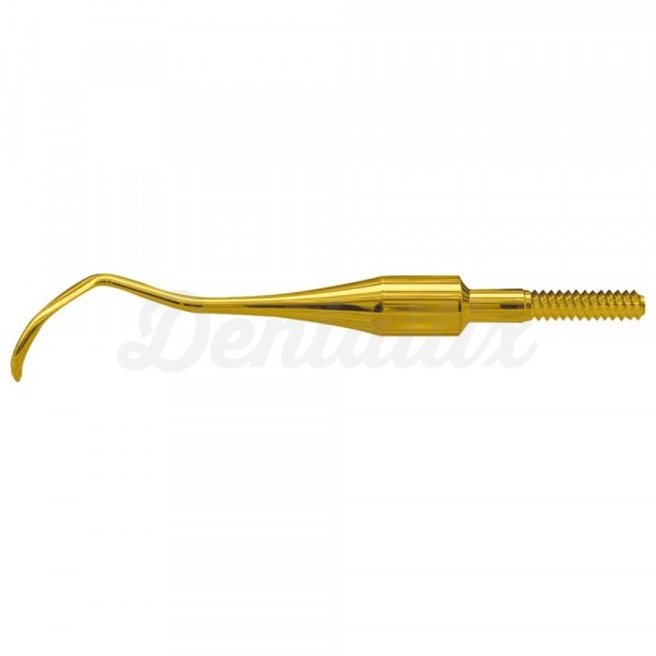 Quik-Tip: Pontas de Scalers XP Technology - Dica: Dicas para escaladores de tecnologia XP - 204 SB Img: 202503081