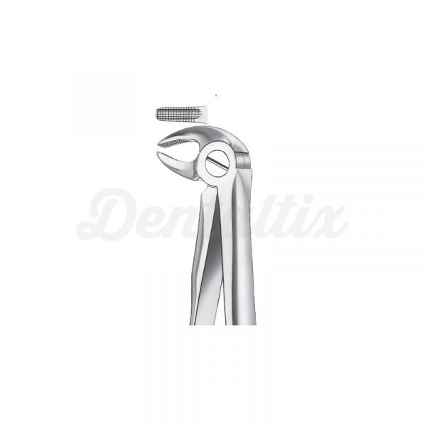 13D FORCEPS PREMOLAR INF.DIAMA Img: 201810271