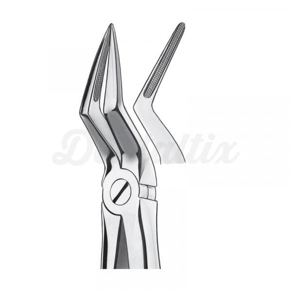 51 1/2 FORCEPS RAICES SUPEROR. Img: 201810271