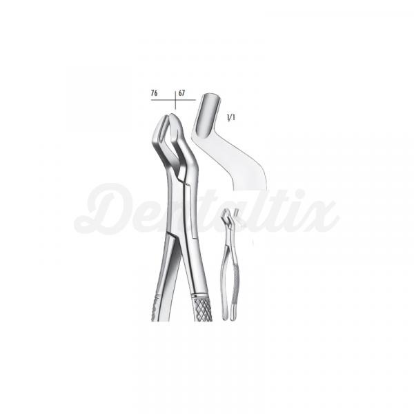 409/10S FORCEPS Img: 201810271