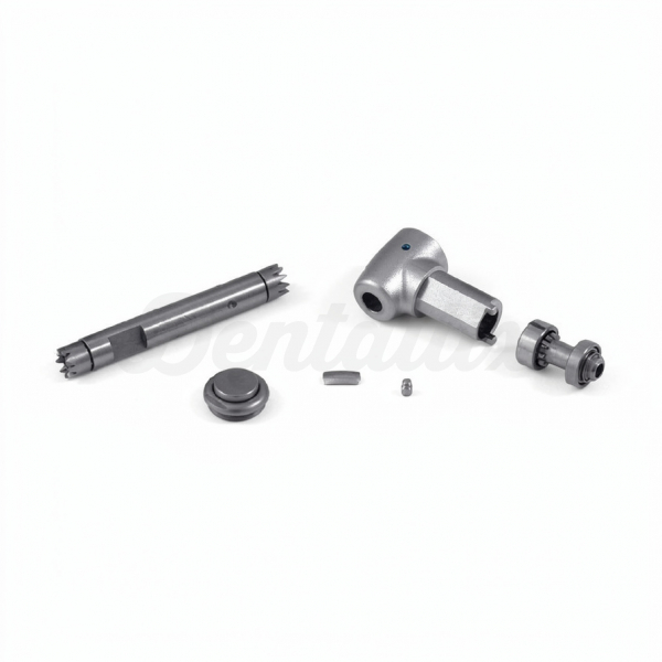 Conjunto de Peças Sobressalentes KaVo Head Img: 202606131