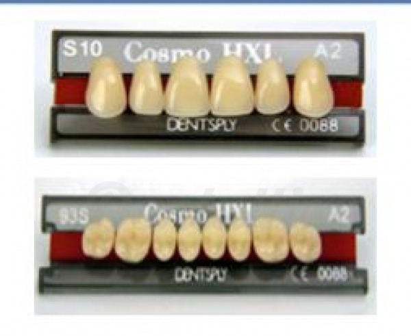 COSMO HXL ant sup S10 B2 Img: 201807031