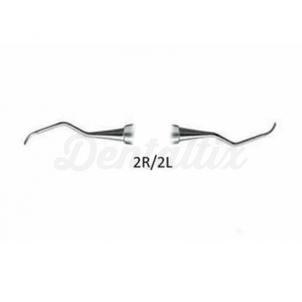 Cureta Universal para Periodontia 2R-2L - Img: 202204301
