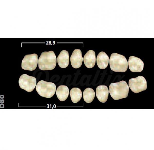 GNATHOSTAR A-D post inf D88 A2 Img: 201807031