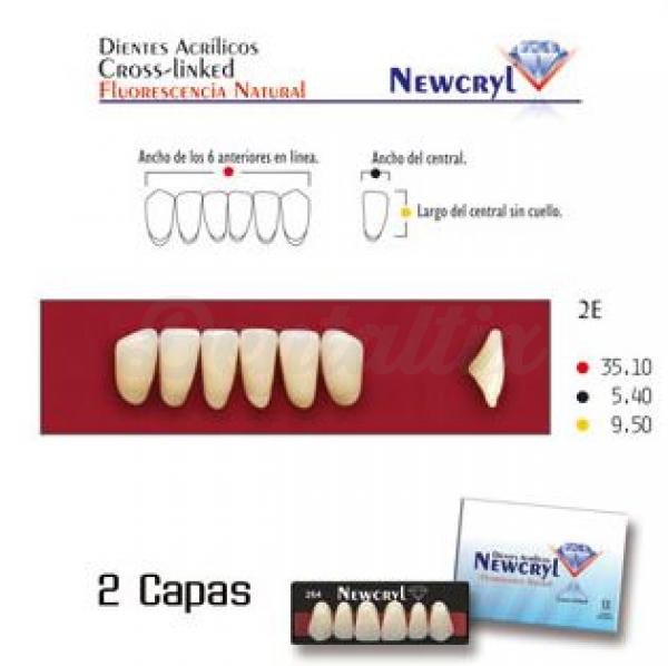 dientes newcryl 2e lo
