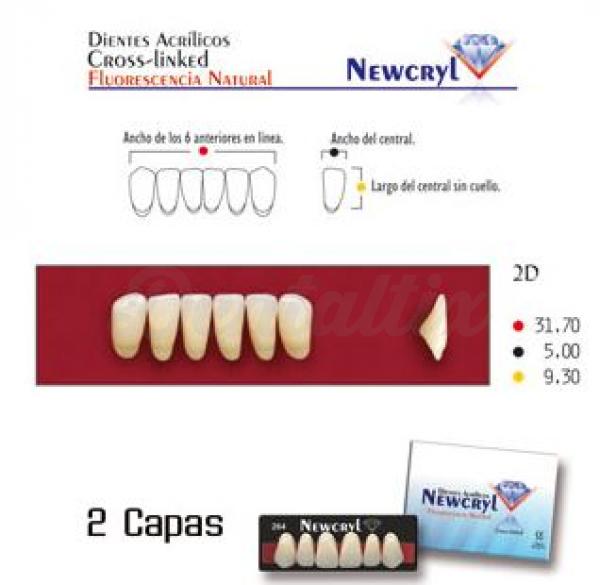 dientes newcryl 2n up