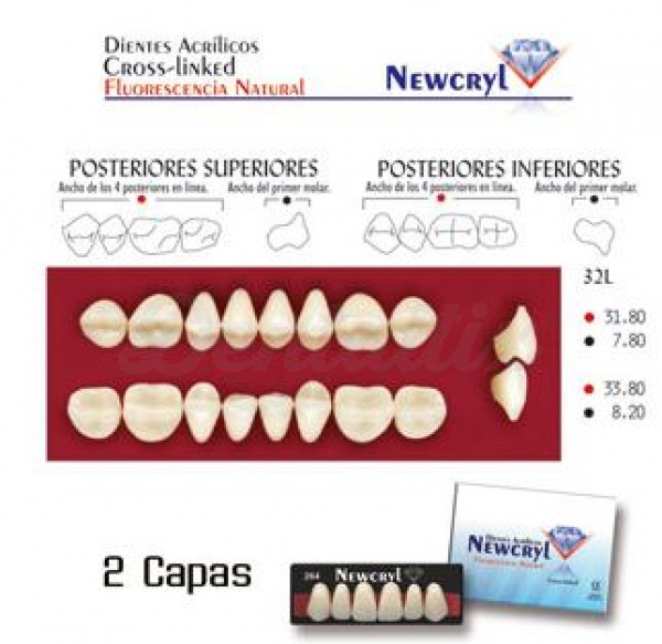 dientes newcryl 32l up a4