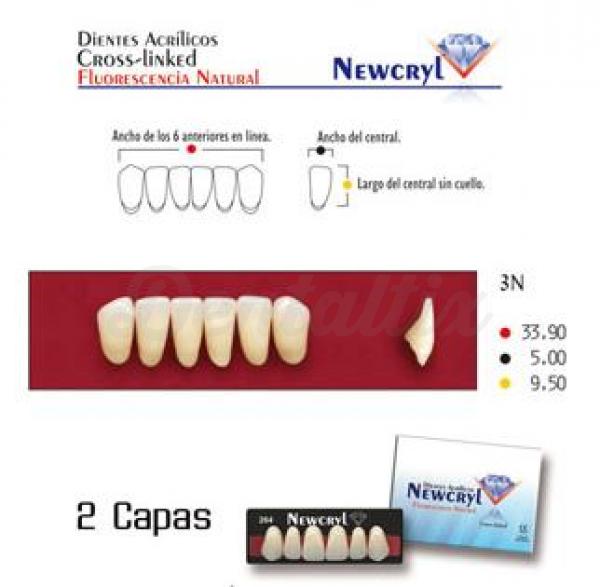 dientes newcryl 3n lo