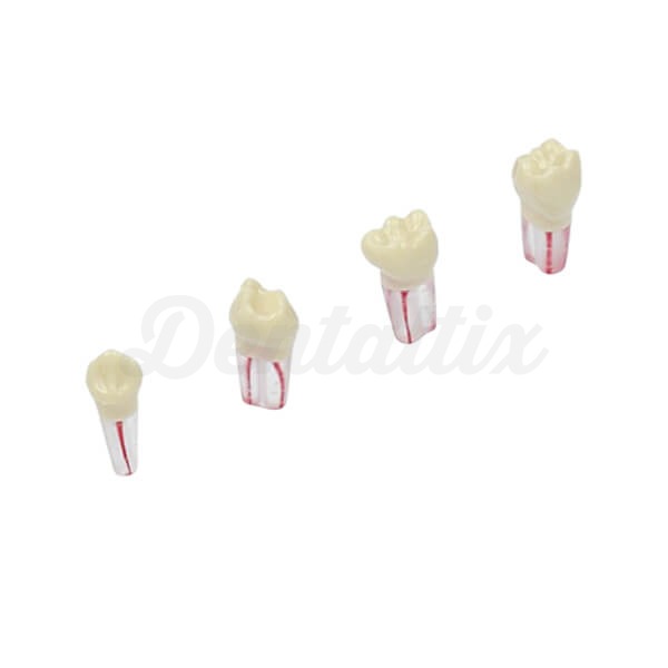 AK62Z: Modelo de Peças Dentárias Temporárias para Preparações (10 unidades) - AK6/2ZPUF - Nr: 85 - 10 un. Img: 202503151
