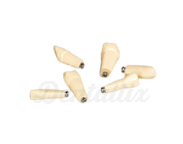 ANKA-4: Dentes de Substituição para Tipodonto ANKA-4 (V) - Pacote de 100 pçs - N.º 12 Img: 202104171
