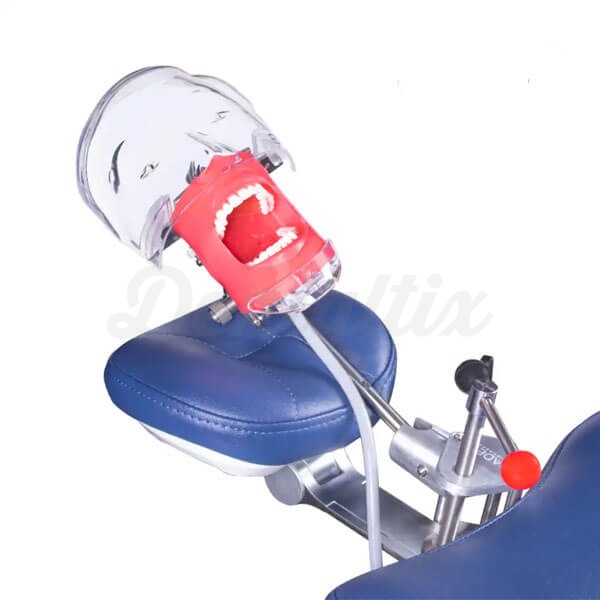 Simplicity: Fantoma Dental Manequim Completo com ancoragem - Fontoma com ancoragem Img: 202411091