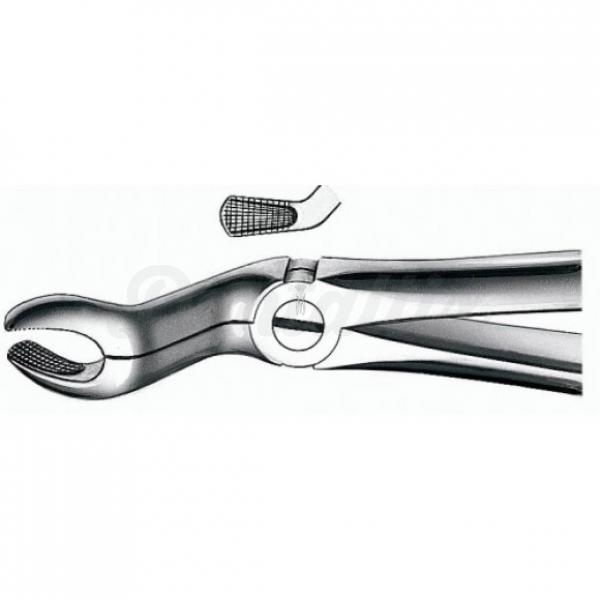 E67A FORCEPS N.67A CORDAL SUP. Img: 201807031