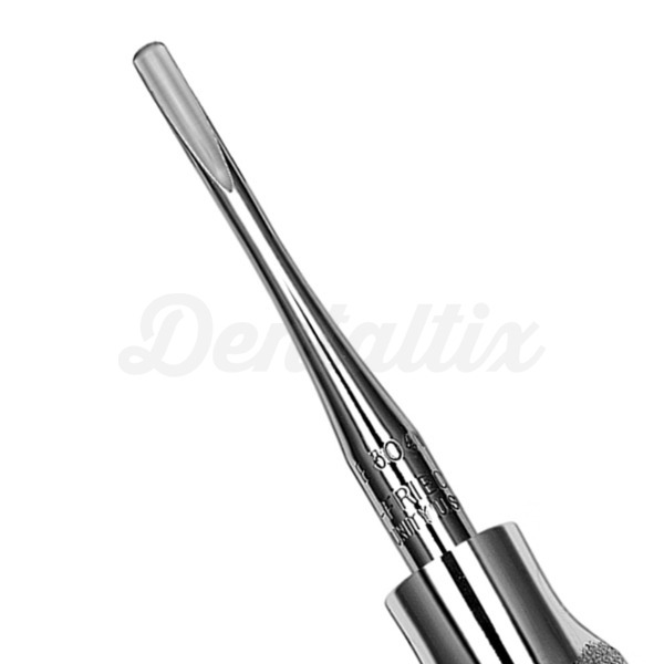 Seldin E304W Lift  Img: 202210151