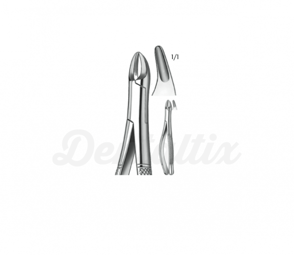 Forceps odontopediatría Cryer409/150S Img: 202110301