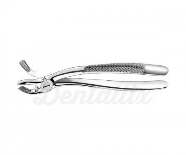 19 FORCEPS CORDAL SUPERIOR