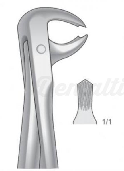 FORCEPS CANINO PREMOLAR Img: 201807031