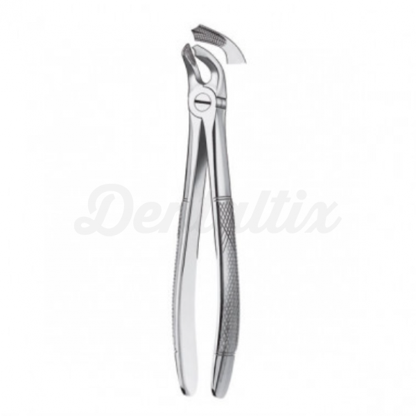 21 FORCEPS MOLARES INFERIOR Img: 202205071