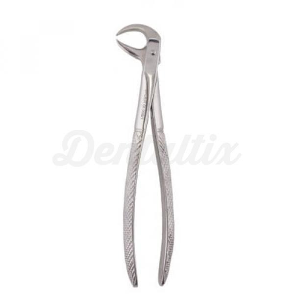 Forceps Figura 86C Img: 202110301