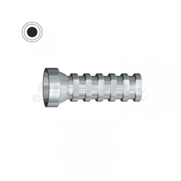 Cilindro Provisional Hexagonal Externo (Tipo Branemark® ø4.1) - titânio Img: 202011211