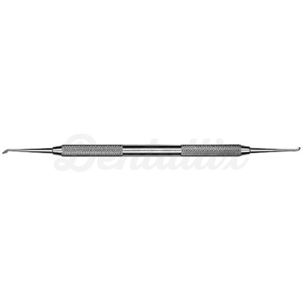 CD4/5 TALLADOR CLEOID-DISCOIDE Img: 202304151