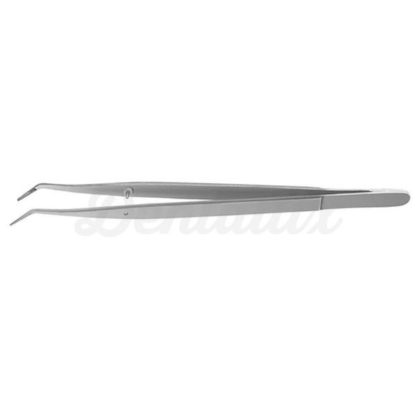 DP2 PINZA COLLEGE Img: 202008291