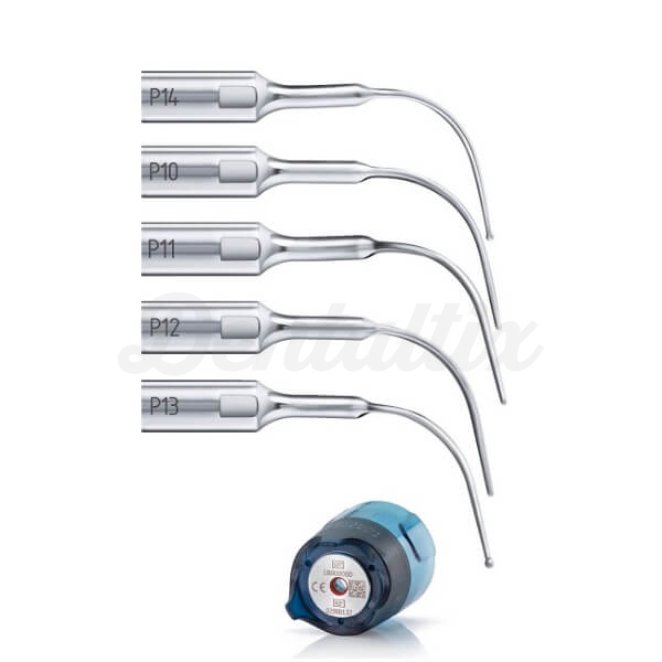 Kit Perio Anatomic Img: 202601241