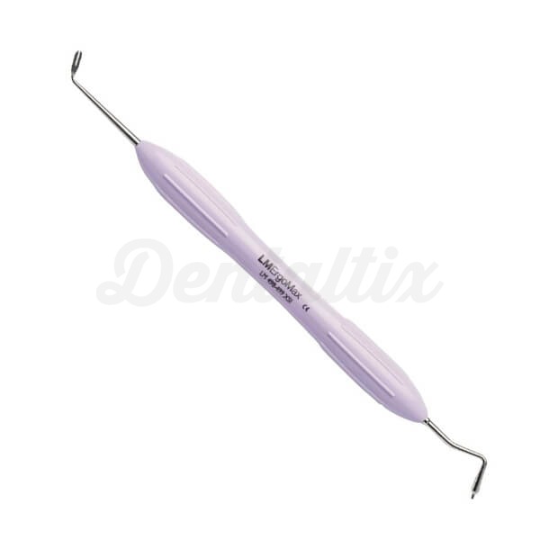 LM-Arte Misura Posterior