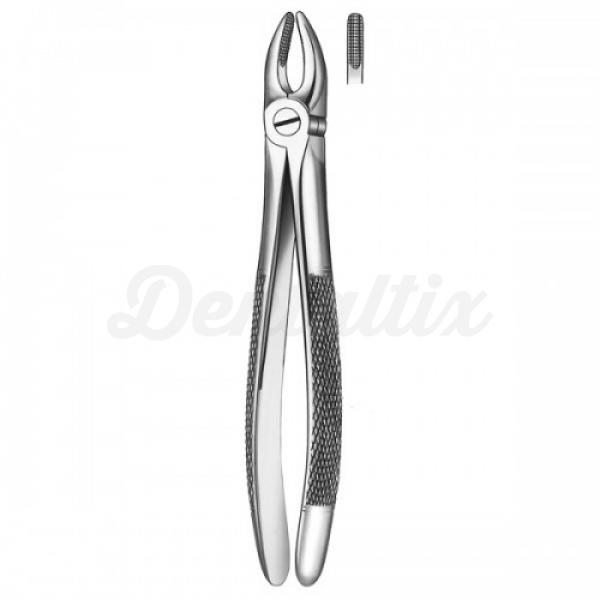 M2002 FORCEPS INCISIVO CANINO SUPERIOR