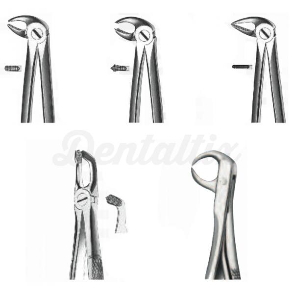 FORCEPS KDM 33A maxilar inf raízes Img: 202008221