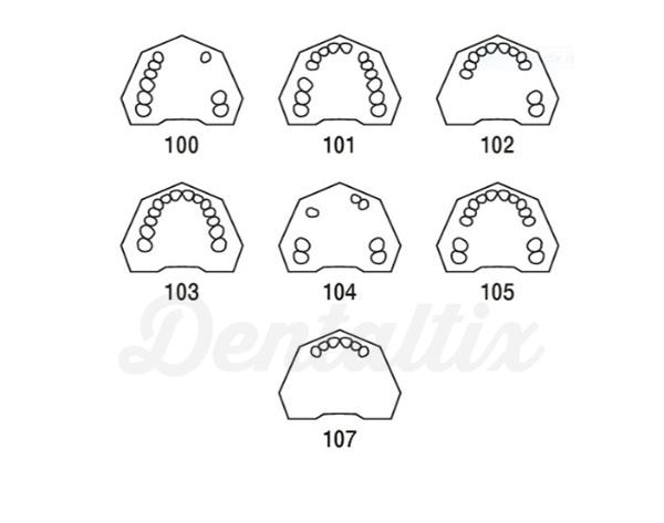 Tipodonto AG-3: Maxila Parcialmente Dentada - 100 Img: 202104171