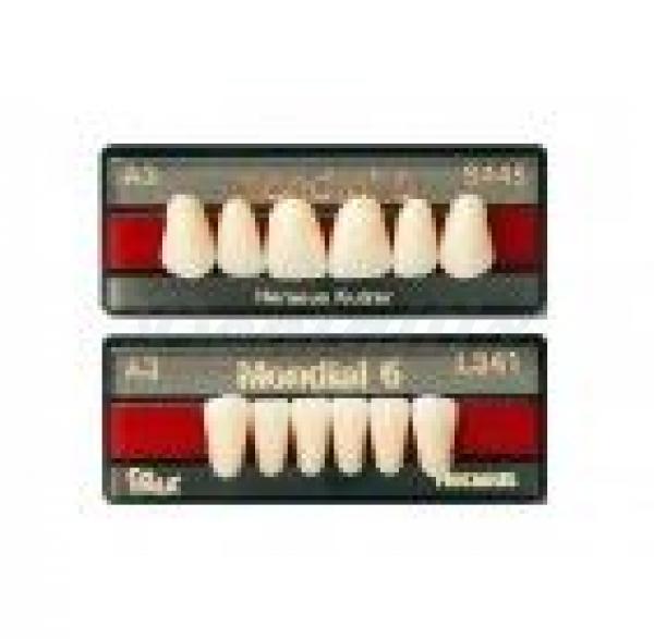 MONDIAL ant inf L315 A2 Img: 201807031