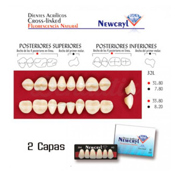 DIENTES NEWCRYL-VITA 32L LO B3