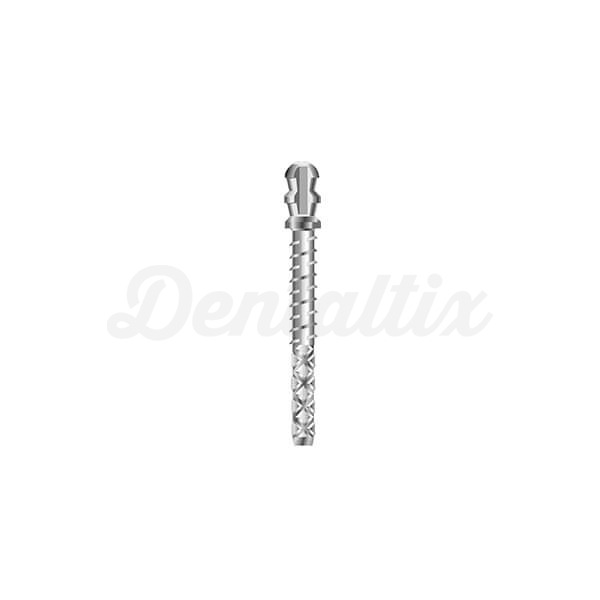 Parapost XT: Fio de Titânio (10 uds.) - No. 5 Vermelho Img: 202202121